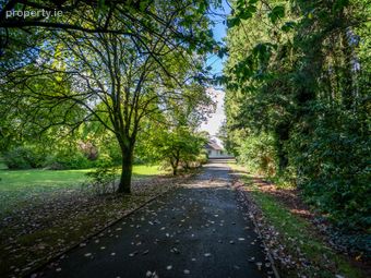 Erindale, Friarstown, Co. Kildare, The Curragh, Co. Kildare - Image 4