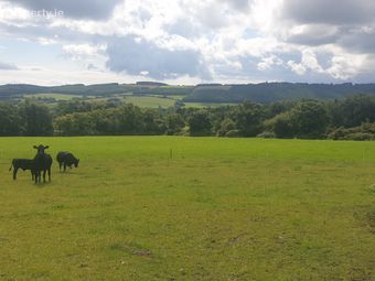 Ballyknocken Beg, Ashford, Co. Wicklow