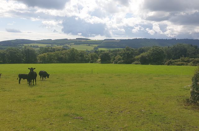 Ballyknocken Beg, Ashford, Co. Wicklow - Click to view photos