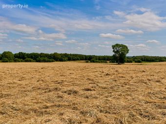 118 Acres, Monaghanstown, Castletown-geoghegan, Co. Westmeath, Ballinagore, Co. Westmeath - Image 5