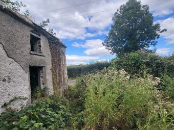 Coolquill, Killenauale, Mardyke, Co. Tipperary - Image 3
