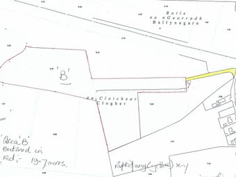 19.7 Acres Forestry Plantation Clogher, Lixnaw, Co. Kerry - Image 5