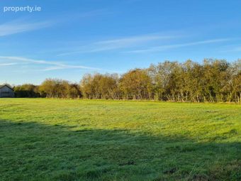Site `a`, Derreen, Cloneygowan, Tullamore, Co. Offaly, Cushina, Co. Offaly