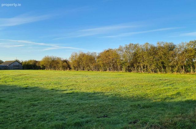 Site `a`, Derreen, Cloneygowan, Tullamore, Co. Offaly, Cushina, Co. Offaly - Click to view photos