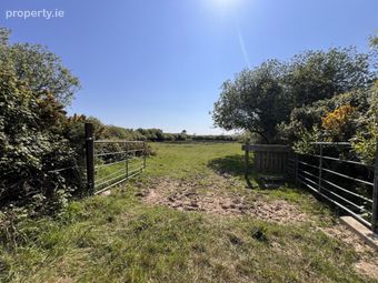 Gardamus (westland Grove), Mayglass, Co. Wexford - Image 4