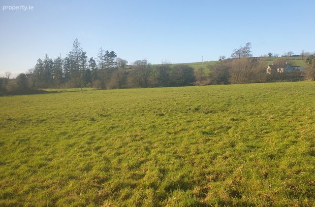Longfield, Stradone, Co. Cavan - Click to view photos