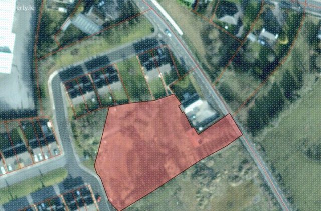 Esker Pines, Ballyhaunis, Co. Mayo - Click to view photos