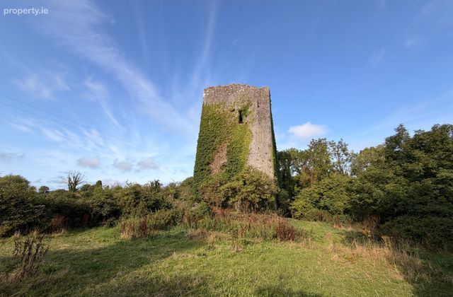 Ballygriffey Castle Ruins On 0.7ha, Folio Ce3481f, Ballygriffey South, Ruan, Co. Clare, Barefield, Co. Clare - Click to view photos