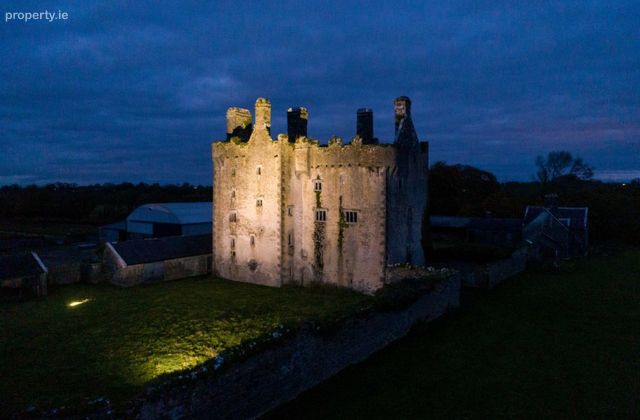 Killaleigh Castle And Sopwell Hall, Co. Tipperary, Pike, Co. Tipperary - Click to view photos