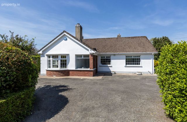 Saint Anthony, Coolcotts Lane, Wexford Town, Co. Wexford - Click to view photos