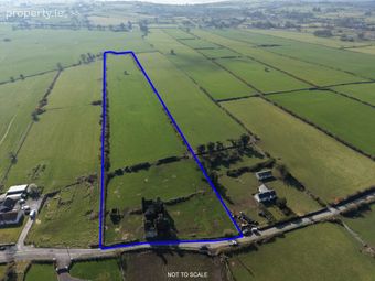 C. 7 Acres, Killiaghan & Gort, Lecarrow, Co. Roscommon, Lecarrow, Co. Roscommon