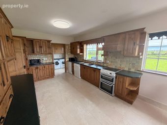 Fedamore, Meanus, Co. Limerick - Image 4