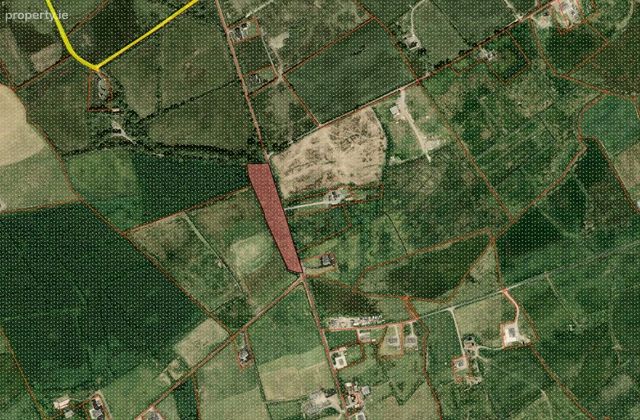 Land/wood 0.90ha (2.22 Acres) Doonbeg Road, Kilrush, Co. Clare - Click to view photos