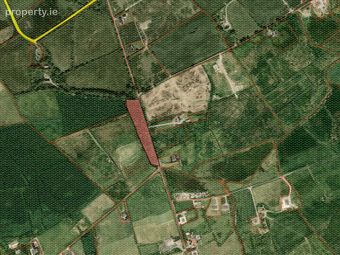 Land/wood 0.90ha (2.22 Acres) Doonbeg Road, Kilrush, Co. Clare