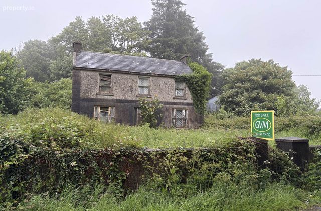 Gortroe, Ballingarry, Co. Limerick, Ballingarry, Co. Limerick - Click to view photos
