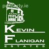 Branded Agent Logo