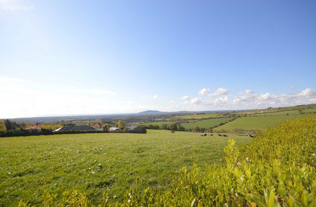 Site `a` Moneyribbon, Coolgreany, Co. Wexford, Coolgreany, Co. Wexford - Click to view photos