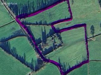 C.4.037 Ha At Cloncourse, Ballaghmore, Co. Laois, Borris-in-Ossory, Co. Laois - Image 3