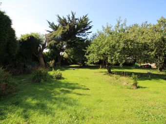Green Hills, Dooradoyle Road, Dooradoyle, Co. Limerick - Image 3