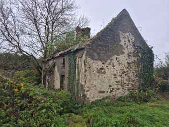 Coolquill, Killenauale, Mardyke, Co. Tipperary - Image 2