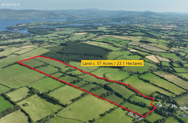 Land C. 57 Acres / 23.1 Hectares, Newtown Great, Ballymore Eustace, Naas, Co. Kildare - Click to view photos