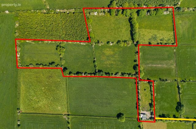 Eneghan, Walsh Island, Co. Offaly, Walsh Island, Co. Offaly - Click to view photos
