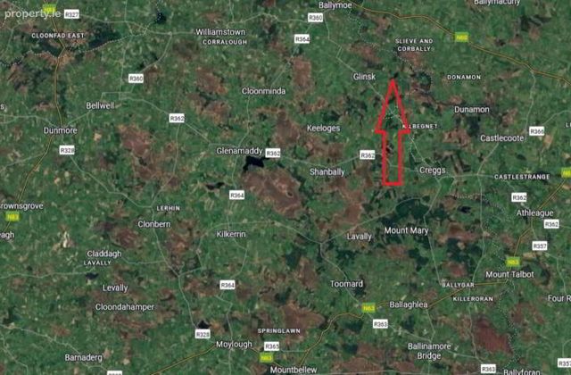 Approx, 4.77 Ha (11, 8 Acres), Ballincurry, Glenamaddy, Glinsk, Co. Galway, Glinsk, Co. Galway - Click to view photos