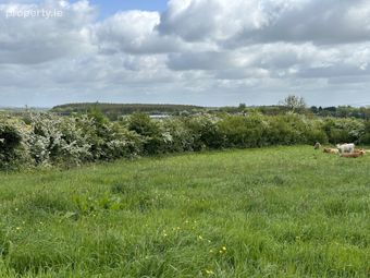 Springtown ,granard , Co Longford, Granard, Co. Longford