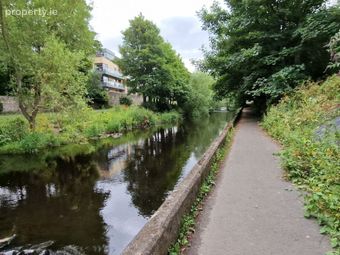 Apartment, Dodderbank Apartments, Dundrum Road, Dublin 14, Milltown, Dublin 6 - Image 5