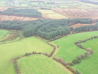 Shrone, Rathmore, Co. Kerry - Image 4