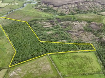 Treanboy, Ballymoe, Co. Roscommon, Ballymoe, Co. Galway