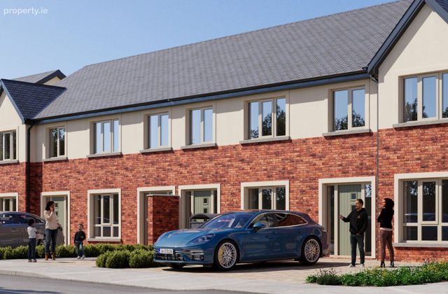 Ivy, Rathangan, Co. Kildare - Click to view photos