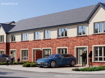 Ivy, Rathangan, Co. Kildare