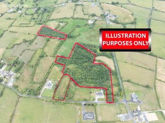 Darranstown, Martinstown, Kilmallock, Co. Limerick, Kilmallock, Co. Limerick