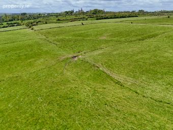 36.35 Acres (approx.) Residential Farm At Castleplunkett, Castlerea, Co. Roscommon, Castleplunkett, Co. Roscommon - Image 5