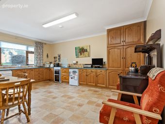 Ballyhide, Carlow, Bilboa, Co. Laois - Image 4