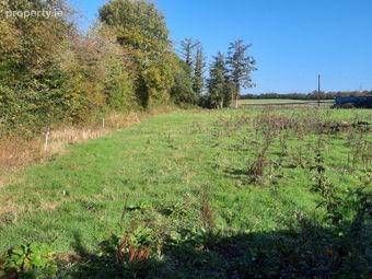 Errill, Rathdowney, Co. Laois - Image 2