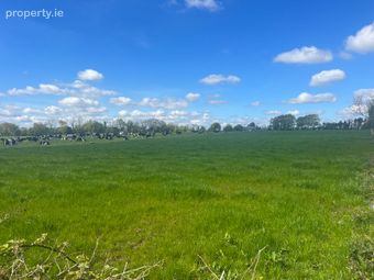 Windfield Demesne , Menlough , Ballinasloe , Co. Galway, Menlough, Co. Galway - Image 5