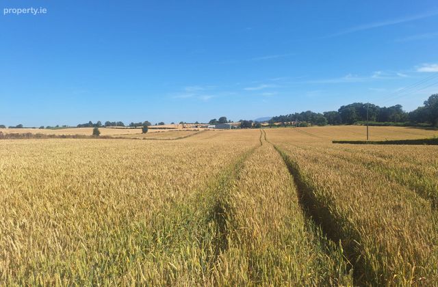Lisrenny, Tallanstown, Co. Louth - Click to view photos