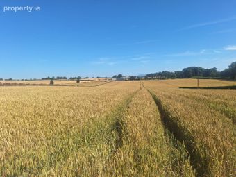 Lisrenny, Tallanstown, Co. Louth