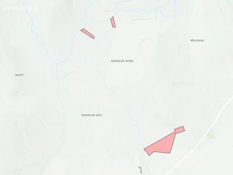 Lands At Barraghbeg, Drumlish, Co. Longford - Image 3