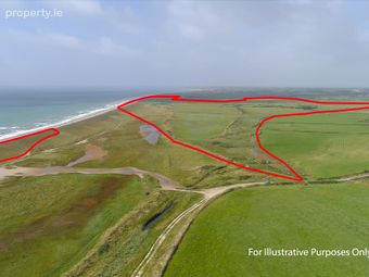 Ringbawn/ballagh Land (132.5 Acres), Tacumshane, Co Wexford, Tacumshane, Co. Wexford - Image 4