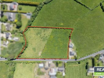 Shower, Newport, Co. Tipperary, Newport, Co. Tipperary - Image 3