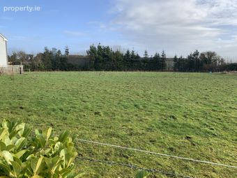 Bovinion, Mountbellew, Co. Galway - Image 2