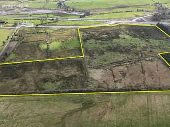 30 Acres (approx.) At Cartronagor, Elphin, Co. Roscommon, Elphin, Co. Roscommon