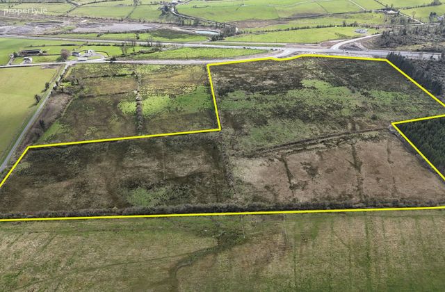 30 Acres (approx.) At Cartronagor, Elphin, Co. Roscommon, Elphin, Co. Roscommon - Click to view photos