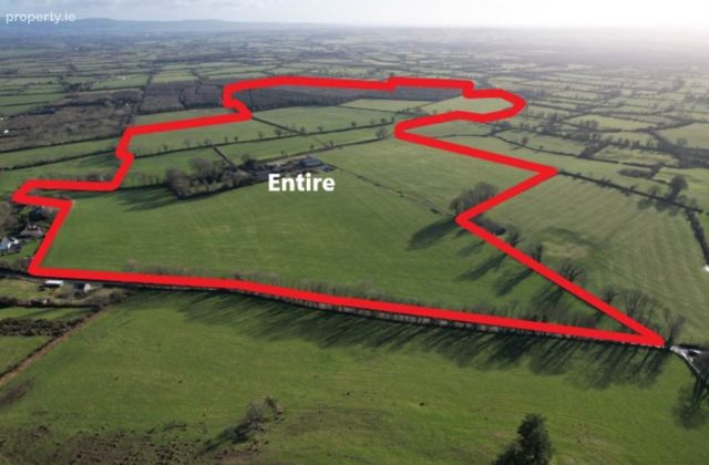 Garryfine Castle, Garryfine, Kilmallock, Co. Limerick, Kilmallock, Co. Limerick - Click to view photos
