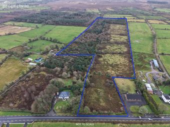 C. 20.88 Acres, Foughil, Trien, Castlerea, Co. Roscommon, Trien, Co. Roscommon