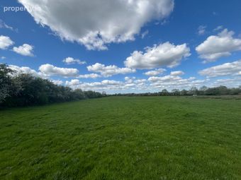Scarry, Kilcormac, Co. Offaly
