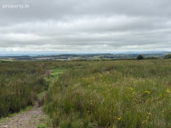 Boolyduff, Inagh, Co. Clare